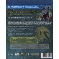 Bugs! - Abenteuer Regenwald (3D Blu-ray) - Elite Film  - (Blu-ray Video / Tier)