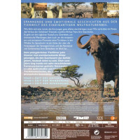 Serengeti (2019) -   - (DVD Video / Sonstige / unsortiert)