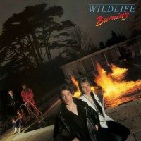 Wildlife: Burning (Collectors Edition) -   - (CD / Titel:...