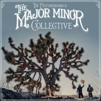 The Picturebooks: The Major Minor Collective (180g) -...