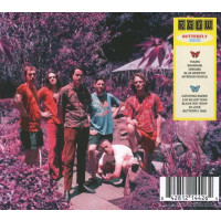 King Gizzard & The Lizard Wizard: Butterfly 3000 -...