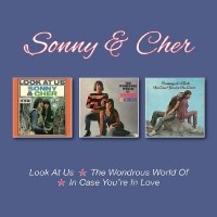 Sonny & Cher: Look At Us / The Wondrous World / In...