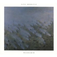 Ilya Beshevli: Wanderer -   - (CD / Titel: H-P)