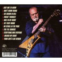 Tinsley Ellis: Ice Cream In Hell -   - (CD / Titel: Q-Z)