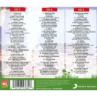 SchlagerHammer - Hammer Hitzzz Vol. 2 - Sony  - (CD / Titel: Q-Z)