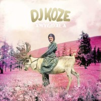 DJ Koze aka Adolf Noise: Amygdala (Limited Edition) -   -...