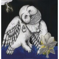 Songs: Ohia: Magnolia Electric Co....