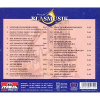 Various Artists: Wenn die Blasmusik erklingt Vol. 1 -   - (CD / Titel: Q-Z)