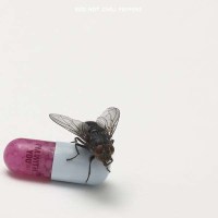 Red Hot Chili Peppers: Im With You (Digisleeve) -   - (CD...