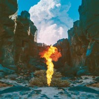 Bonobo (Simon Green): Migration -   - (CD / Titel: H-P)