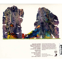 Grizzly Bear: Painted Ruins -   - (CD / Titel: H-P)