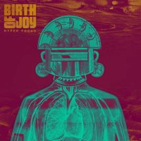 Birth Of Joy: Hyper Focus (180g) -   - (Vinyl / Rock...