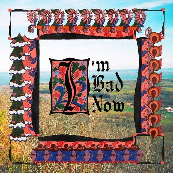 Nap Eyes: Im Bad Now -   - (CD / Titel: H-P)