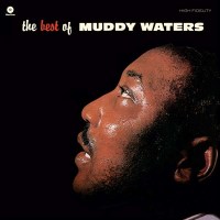 The Best Of Muddy Waters (180g) (Limited Edition) (+ 4...