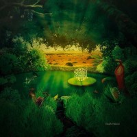 Green Desert Water: Solar Plexus (180g) (Colored Vinyl) -...