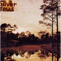 Silver Jews: Starlite Walker -   - (CD / Titel: Q-Z)