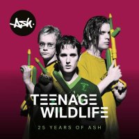 Teenage Wildlife: 25 Years Of Ash -   - (CD / Titel: Q-Z)