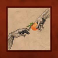 My Ugly Clementine: Vitamin C (180g) -   - (Vinyl / Rock...