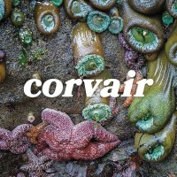 Corvair -   - (Vinyl / Pop (Vinyl))