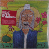 Charlie Parr: Last Of The Better Days Ahead -   - (Vinyl...