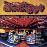 The Waterboys: Room To Roam (Half Speed Master) (180g)...