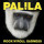 Palila: RocknRoll Sadness (Limited Numbered Edition) -   - (Vinyl / Rock (Vinyl))