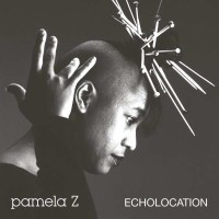 Pamela Z: Echolocation (Limited Edition) (Natural Vinyl)...