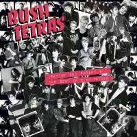 Rhythm And Paranoia: The Best Of Bush Tetras -   - (CD /...