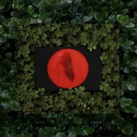 Moses Sumney: Live From Blackalachia (Limited Edition)...