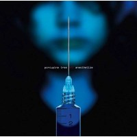 Porcupine Tree: Anesthetize: Live 2008 -   - (CD / Titel:...