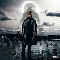 Juice WRLD: Fighting Demons -   - (Vinyl / Rock (Vinyl))