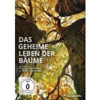 Das geheime Leben der Bäume (Blu-ray & DVD im...