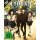 Hyouka - Vol. #1 (DVD) LE -Sammelschuber- min: 144/DD5.1/WS  Ep.: 01-06 - KSM  - (DVD Video / Anime)