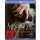 Missing You - Mein ist die Rache (BR)  Min: 108/DD5.1/WS - ALIVE AG  - (Blu-ray Video / Thriller)