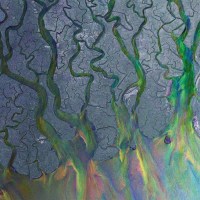 alt-J: An Awesome Wave -   - (Vinyl / Pop (Vinyl))