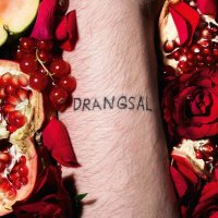 Drangsal: Harieschaim (Black Vinyl) -   - (LP / H)