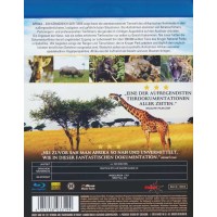 Afrika - Ein Königreich der Tiere -   - (Blu-ray...