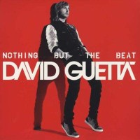 David Guetta - Nothing But The Beat -   - (LP / N)