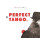 Otros Aires - Perfect Tango -   - (CD / P)