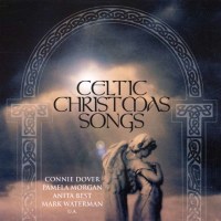 Various Artists - Celtic Christmas Songs -   - (CD / C)