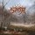 Saor - Forgotten Paths -   - (LP / F)