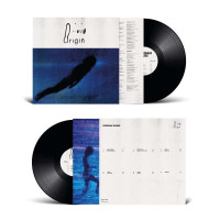 Jordan Rakei - Origin (180g) -   - (Vinyl / Rock (Vinyl))