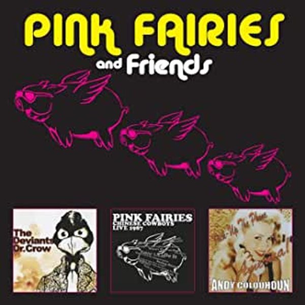 Pink Fairies - Pink Fairies And Friends -   - (CD / P)