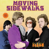 The Moving Sidewalks (pre ZZ Top) - Flash -   - (Vinyl /...