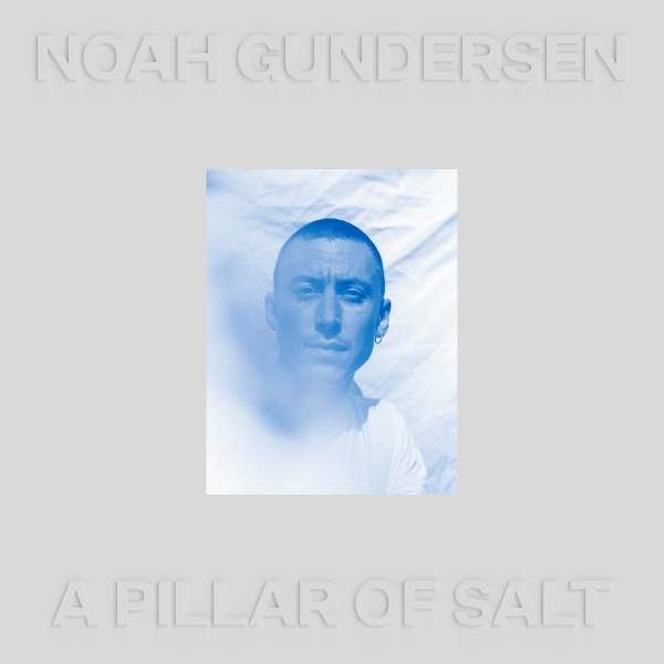 Noah Gundersen - A Pillar of Salt -   - (Vinyl / Pop (Vinyl))