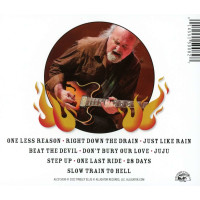 Tinsley Ellis - Devil May Care -   - (CD / D)