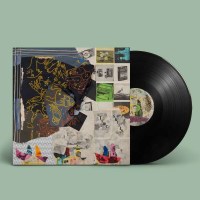 Animal Collective - Time Skiffs -   - (LP / T)