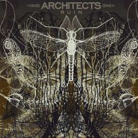 Architects (UK) - Ruin -   - (Vinyl / Pop (Vinyl))