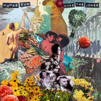 Mamas Gun (Soul) - Cure The Jones -   - (Vinyl / Pop...