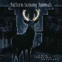 Pattern-Seeking Animals - Only Passing Through (180g) -...